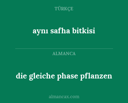 aynı safha bitkisi - die gleiche phase pflanzen