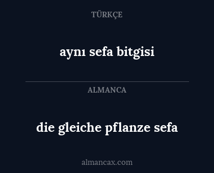 aynı sefa bitgisi - die gleiche pflanze sefa