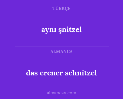 aynı şnitzel - das erener schnitzel