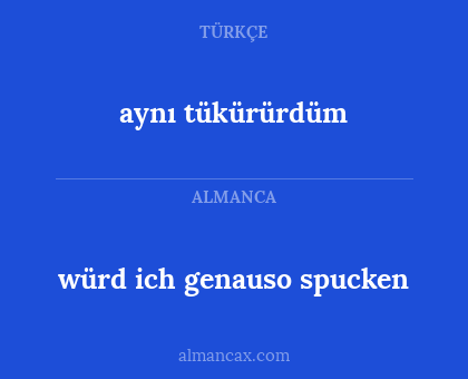aynı tükürürdüm - würd ich genauso spucken