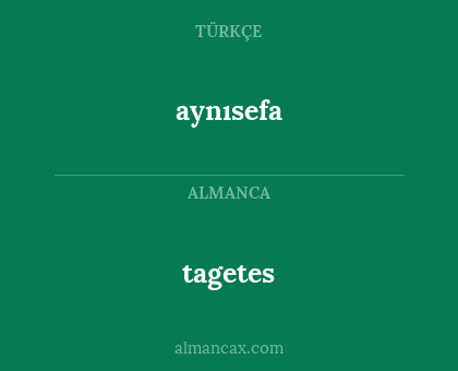aynısefa - tagetes