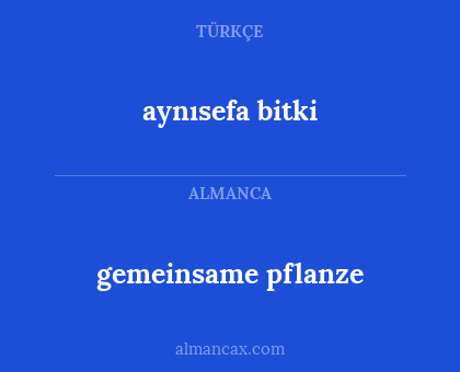 gemeinsame pflanze - aynısefa bitki