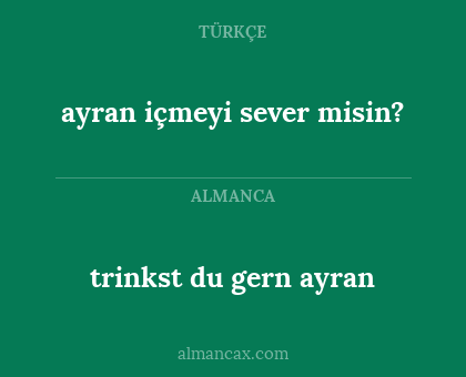 trinkst du gern ayran - ayran içmeyi sever misin?