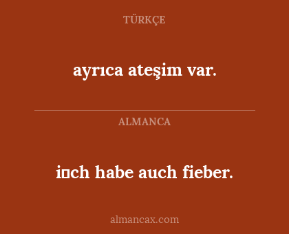 ayrıca ateşim var. - i̇ch habe auch fieber.
