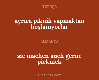 ayrıca piknik yapmaktan hoşlanıyorlar - sie machen auch gerne picknick