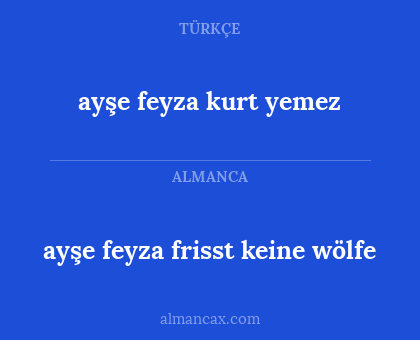 ayşe feyza kurt yemez - ayşe feyza frisst keine wölfe