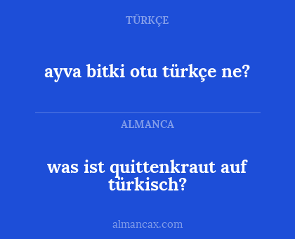 was ist quittenkraut auf türkisch? - ayva bitki otu türkçe ne?