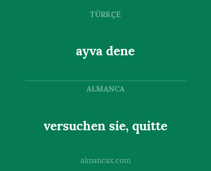 versuchen sie, quitte - ayva dene