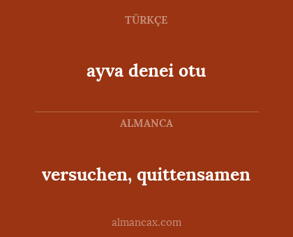 versuchen, quittensamen - ayva denei otu