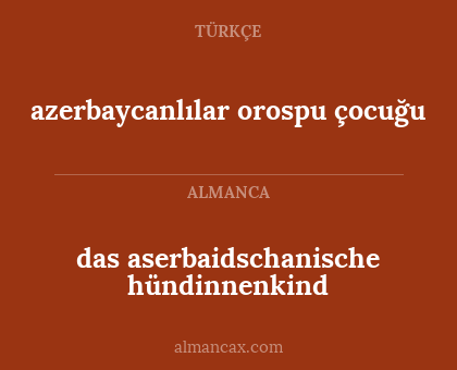 azerbaycanlılar orospu çocuğu - das aserbaidschanische hündinnenkind