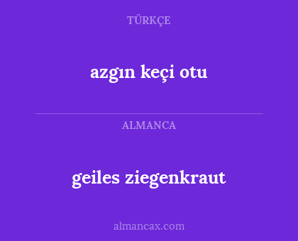 azgın keçi otu - geiles ziegenkraut