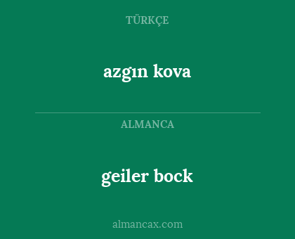 geiler bock - azgın kova