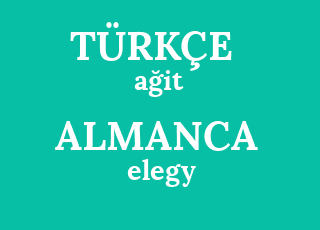 bilyoner com dalaman kaş transfer ücreti