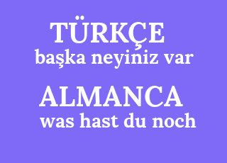 ba%C5%9Fka+neyiniz+var-was+hast+du+noch.png