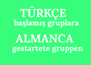 ba%C5%9Flam%C4%B1%C5%9F+gruplara-gestartete+gruppen.png