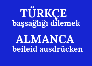 ba%C5%9Fsa%C4%9Fl%C4%B1%C4%9F%C4%B1+dilemek-beileid+ausdr%C3%BCcken.png