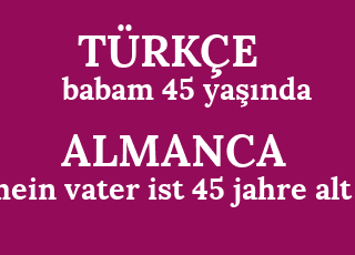 babam+45+ya%C5%9F%C4%B1nda-mein+vater+ist+45+jahre+alt.png