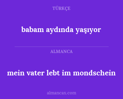 mein vater lebt im mondschein - babam aydında yaşıyor