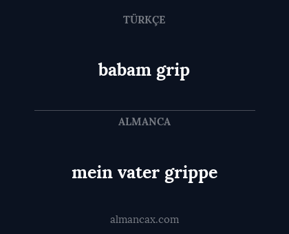 babam grip - mein vater grippe