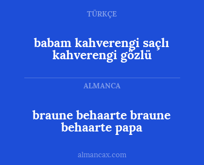 babam kahverengi saçlı kahverengi gözlü - braune behaarte braune behaarte papa