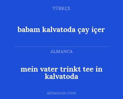mein vater trinkt tee in kalvatoda - babam kalvatoda çay  içer
