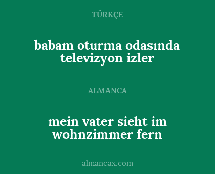 mein vater sieht im wohnzimmer fern - babam oturma odasında televizyon izler