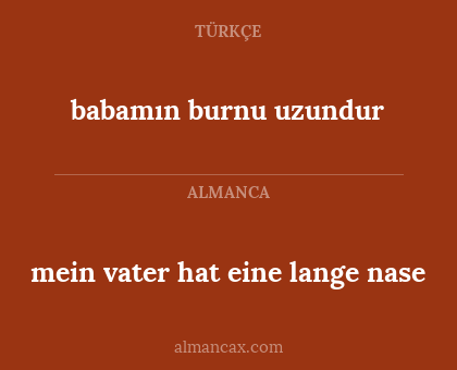 mein vater hat eine lange nase - babamın burnu uzundur