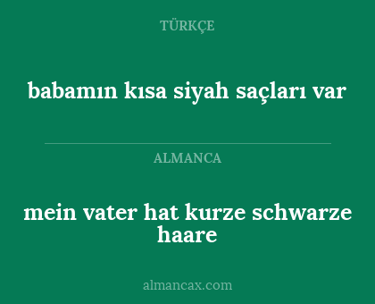babamın kısa siyah saçları var - mein vater hat kurze schwarze haare