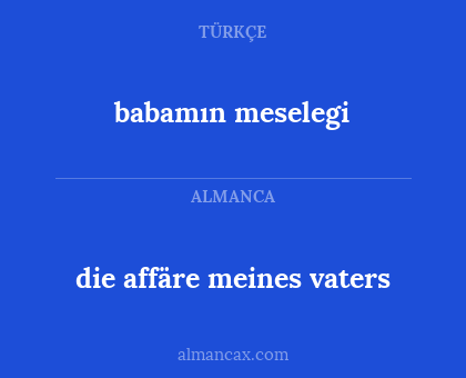 die affäre meines vaters - babamın meselegi