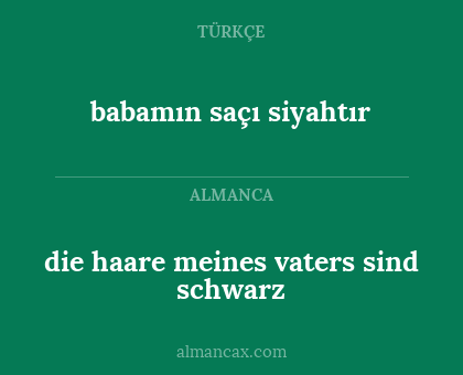 die haare meines vaters sind schwarz - babamın saçı siyahtır