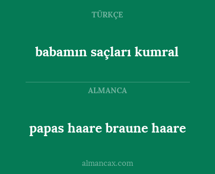 babamın saçları kumral - papas haare braune haare