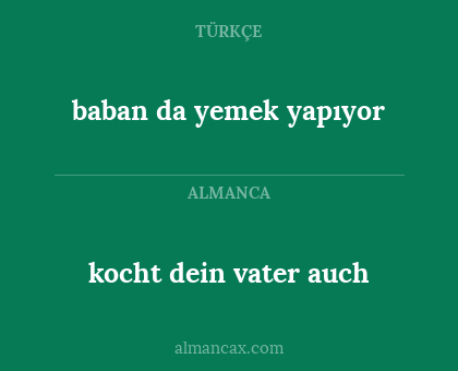 kocht dein vater auch - baban da yemek yapıyor