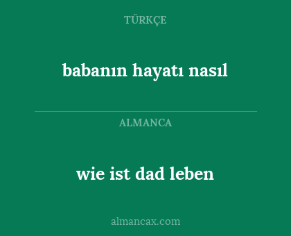 wie ist dad leben - babanın hayatı nasıl