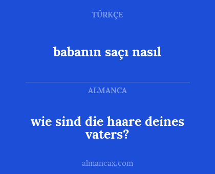 wie sind die haare deines vaters? - babanın saçı nasıl