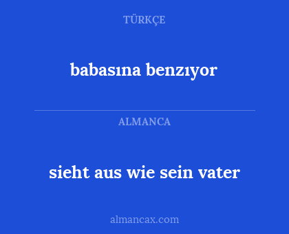 sieht aus wie sein vater - babasına benzıyor