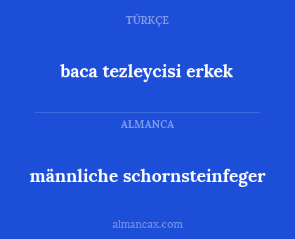 männliche schornsteinfeger - baca tezleycisi erkek