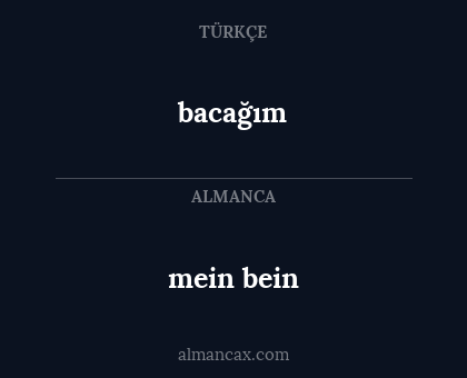 mein bein - bacağım