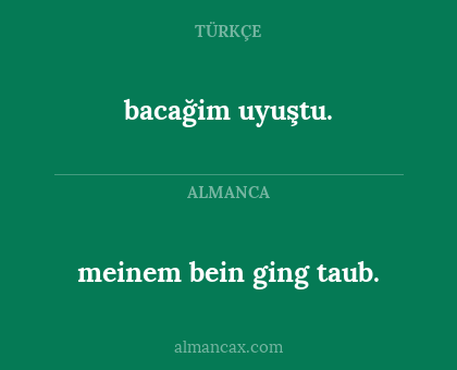 meinem bein ging taub. - bacağim uyuştu.