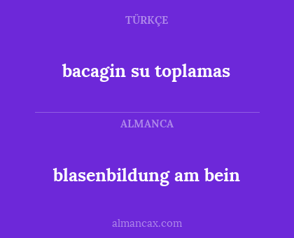 blasenbildung am bein - bacagin su toplamas