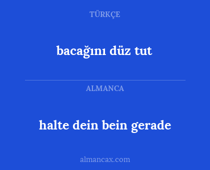 bacağını düz tut - halte dein bein gerade