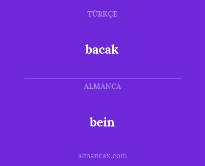 bein - bacak