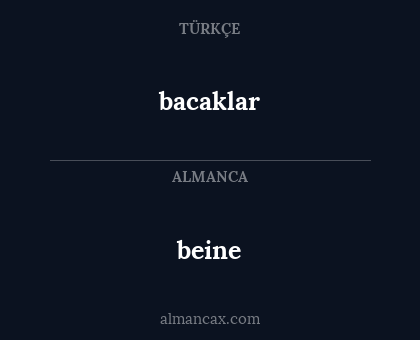 beine - bacaklar