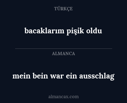 mein bein war ein ausschlag - bacaklarım pişik oldu