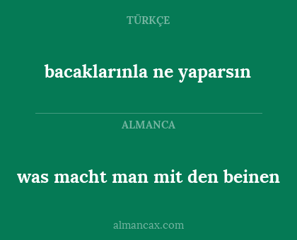 was macht man mit den beinen - bacaklarınla ne yaparsın