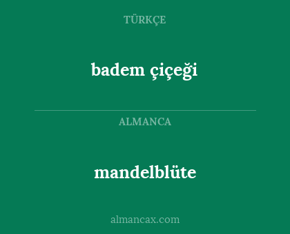 badem çiçeği - mandelblüte