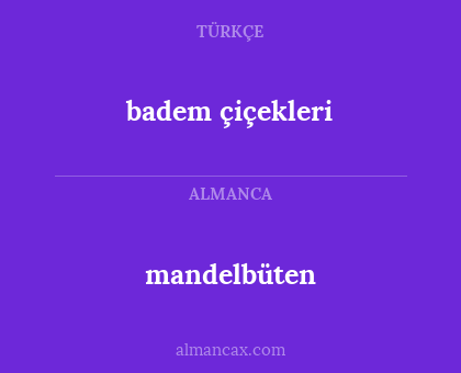 mandelbüten - badem çiçekleri