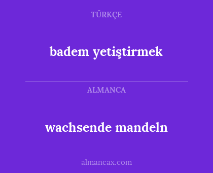 badem yetiştirmek - wachsende mandeln