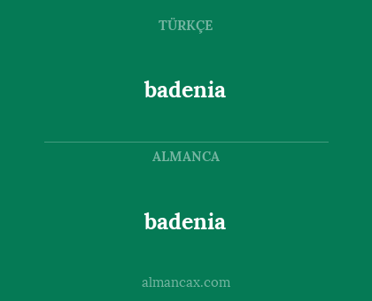 badenia - badenia