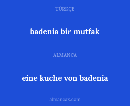 badenia bir mutfak - eine kuche von badenia
