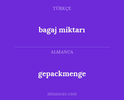 bagaj miktarı - gepackmenge
